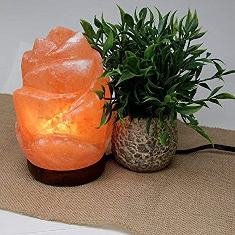 Flower Natural Hymalain Salt Lamps for Gift - Natural Crystal Rock Lamp for Gifts | Flowerstone