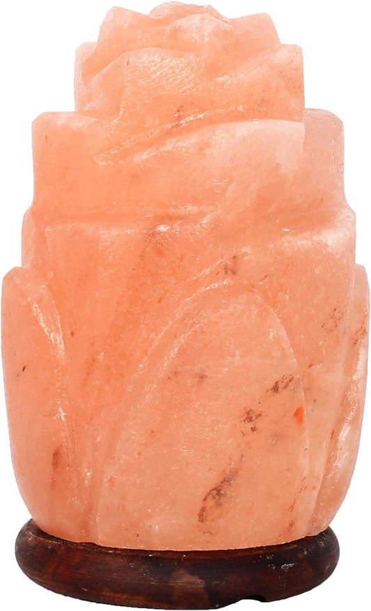 Flower Natural Hymalain Salt Lamps for Gift - Natural Crystal Rock Lamp for Gifts | Flowerstone